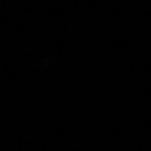 Meet your Posher, Mahera